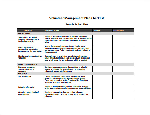 voulunteer management action plan template