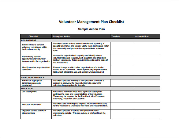 FREE Sample Management Action Plan Templates In PDF MS Word