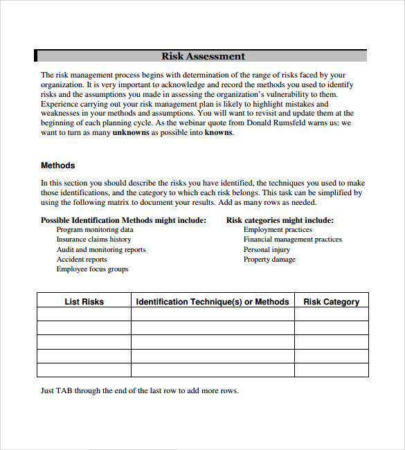 risk management action plan template