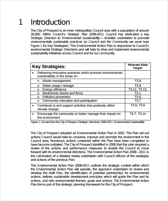 environment management action plan template