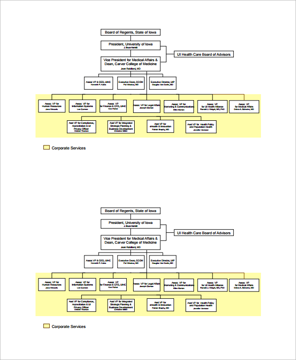 hospital human resources organizational chart template