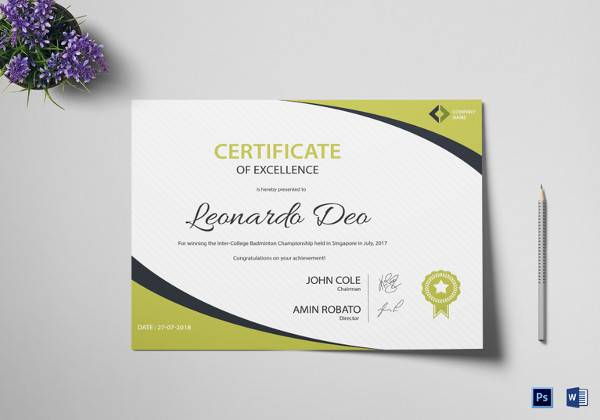 badminton excellence certificate