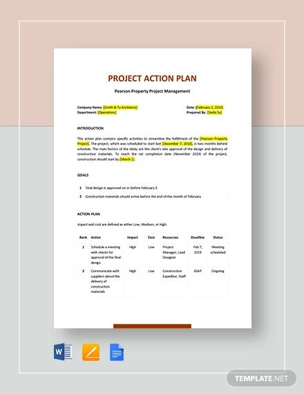 Free 17 Sample Project Action Plan Templates In Pdf Ms Word 5228