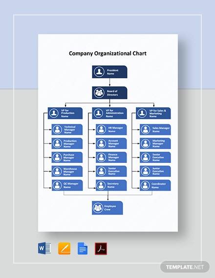 company organizational chart template