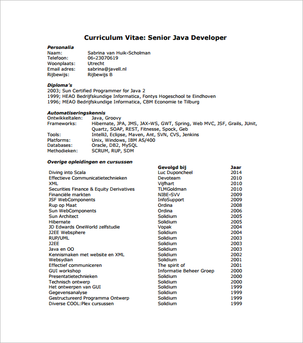 Java developer resume spring hibernate