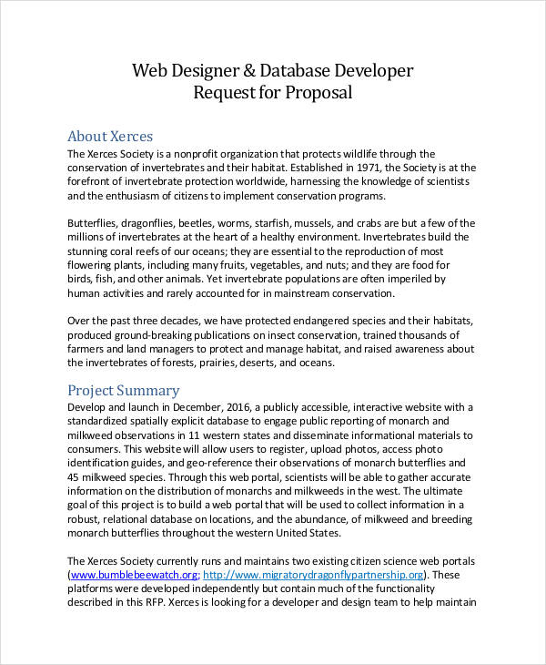 FREE 13  Sample Web Design Proposal Templates in PDF MS Word Google