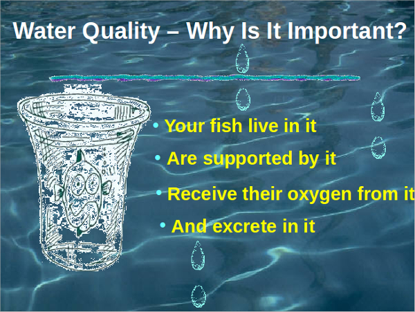 water quality powerpoint template