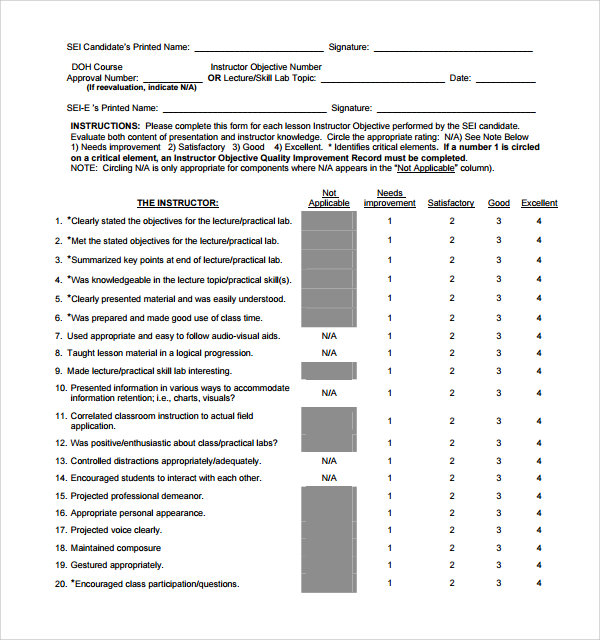 sei candidate evaluation form