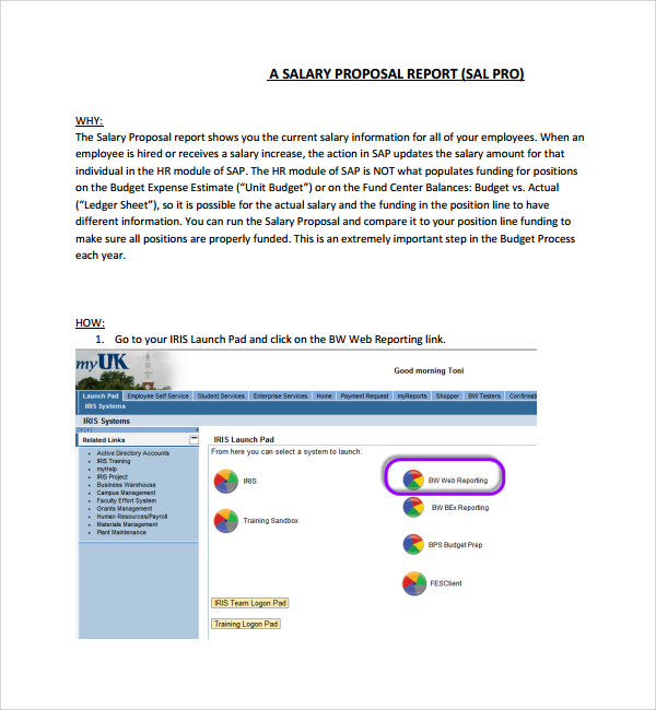 salary proposal report template%ef%bb%bf