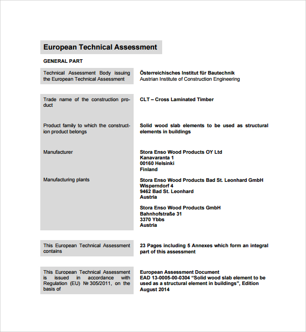 sample technical assessment template