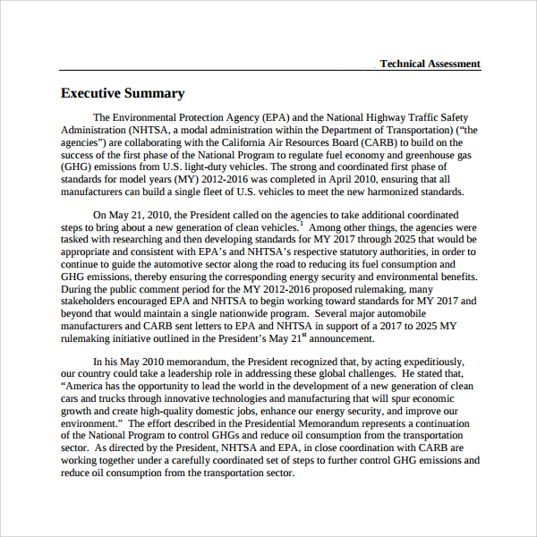 technical assessment template pdf