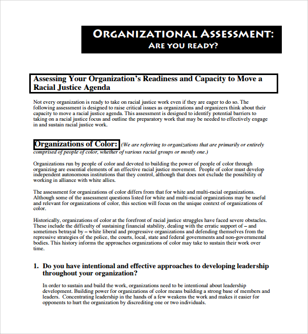 organizational assessment template