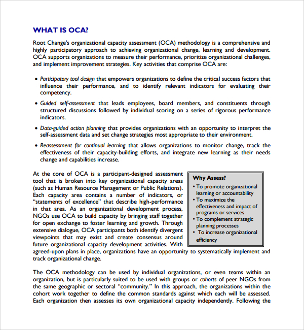 organizational capacity assessment template