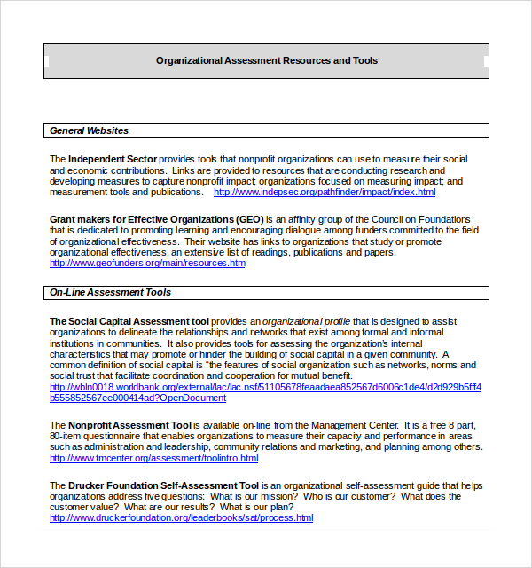organizational assessment template doc%ef%bb%bf