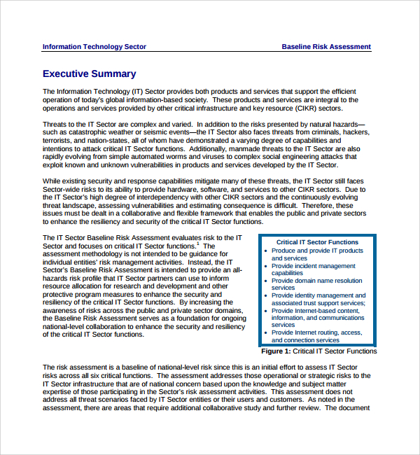 it risk assessment template