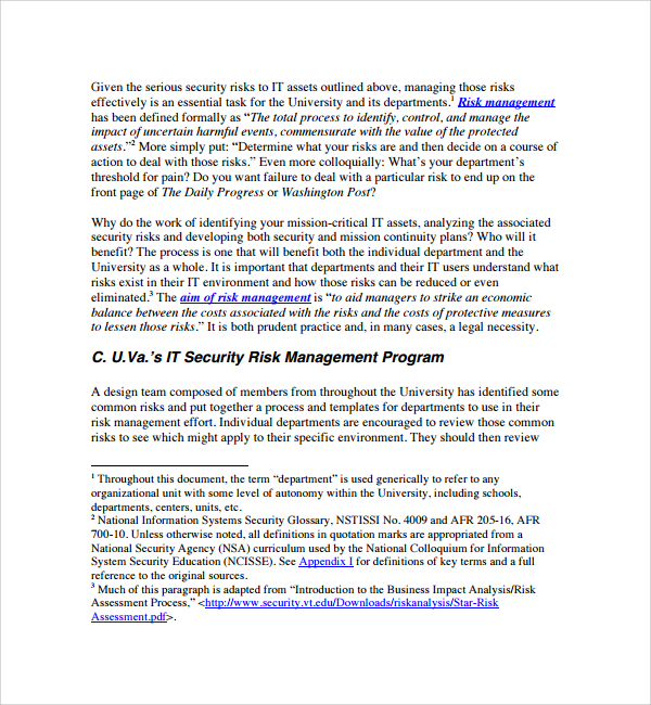 it security assessment template