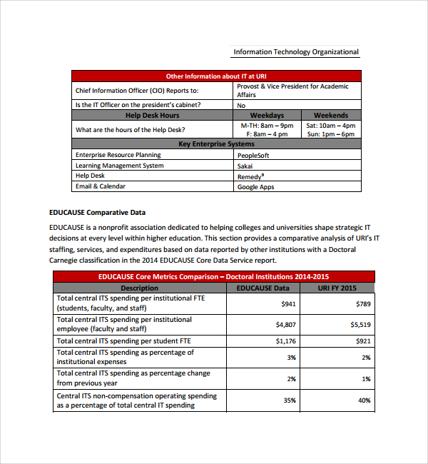 it assessment report template