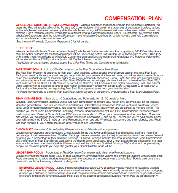 9+ Compensation Plan Templates | Sample Templates