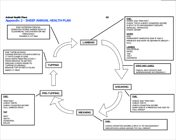 animal health plan template