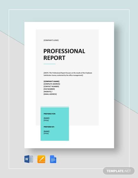 FREE 22+ Sample Professional Report Templates in PDF | MS Word