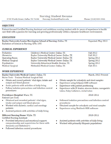 sample nursing student resume template