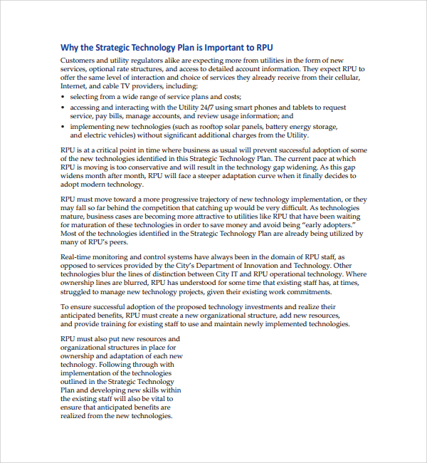 sample of information technology business plan