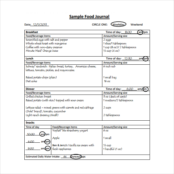 FREE 7 Sample Food Journal Templates In PDF
