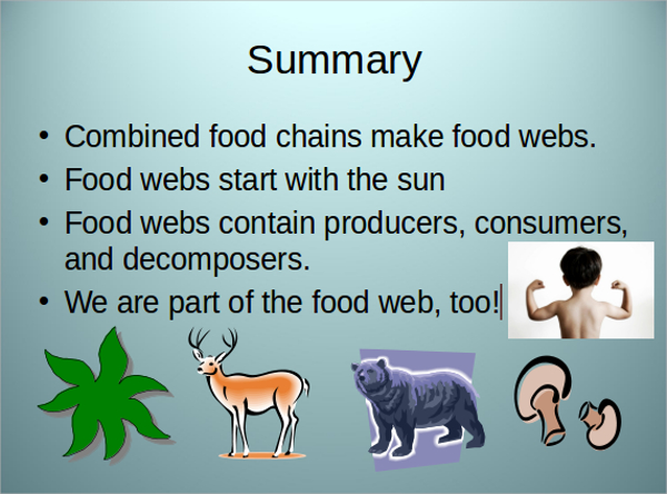 food web presentation