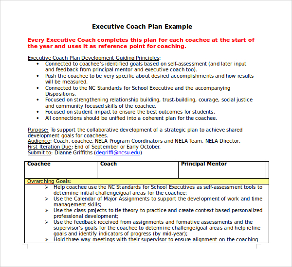 executive coaching business plan sample