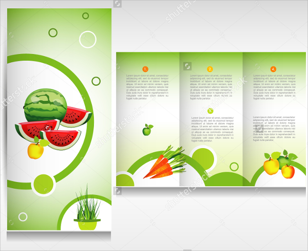 vector food brochure