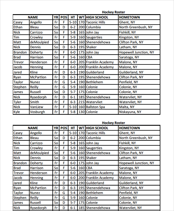 8+ Hockey Roster Templates Sample Templates