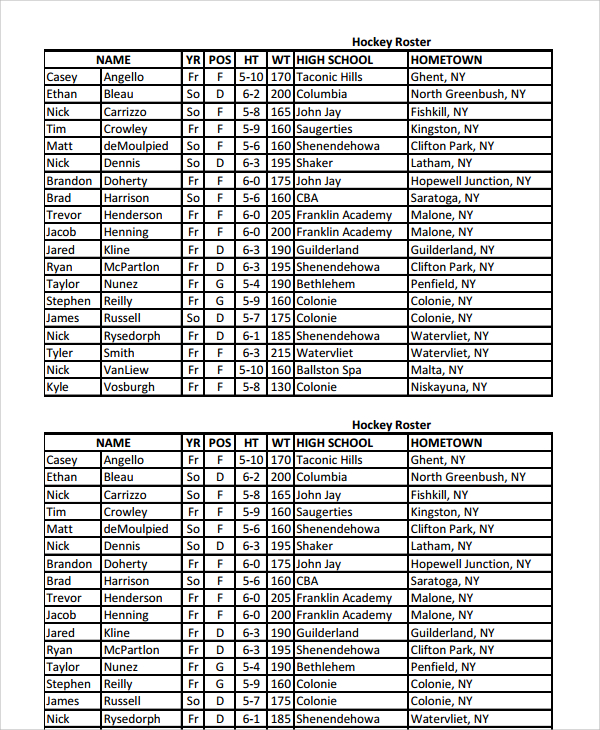 FREE 7+ Sample Hockey Roster Templates in MS Word PDF