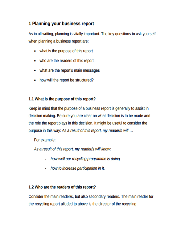 example business plan report