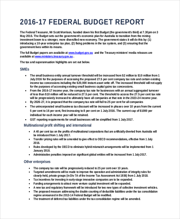 professional federal budget report template1