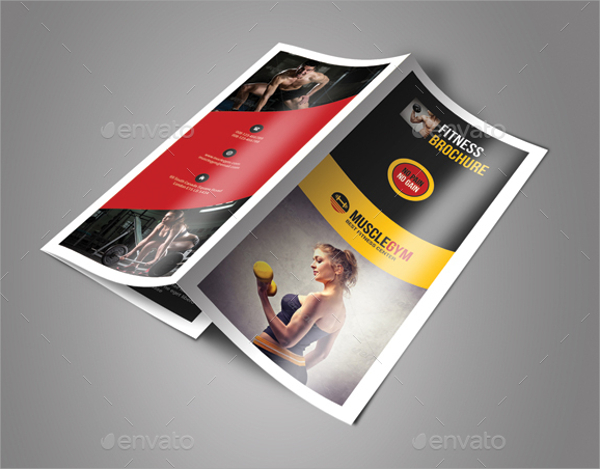 fitness trifold brochure bundle
