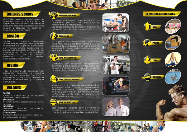 free fitness club brochure template microsoft word