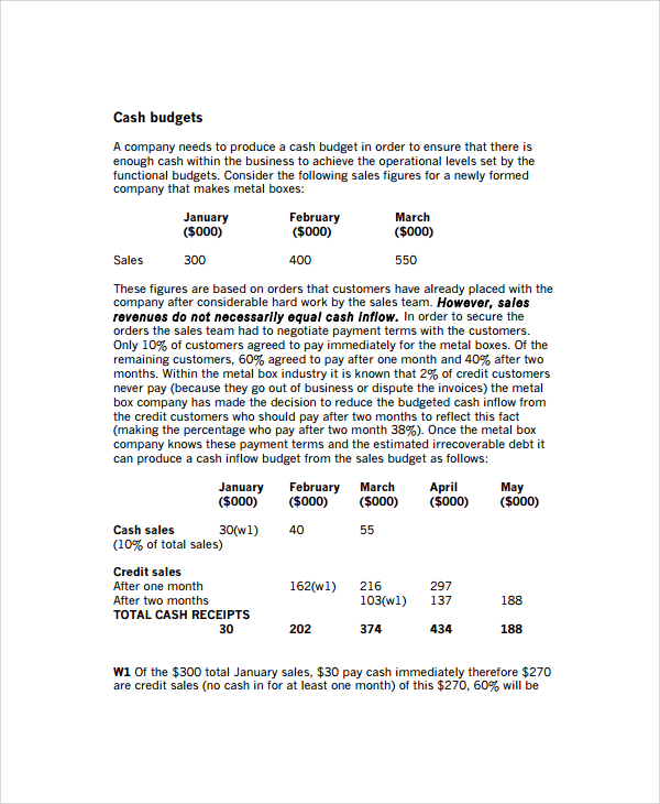 cash budget template example