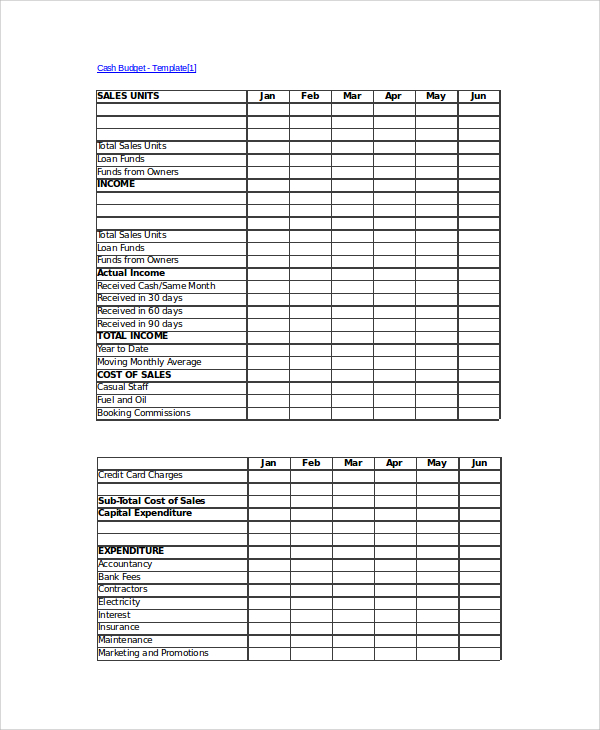 FREE 9+ Sample Cash Budget Templates in PDF Excel Google Docs MS