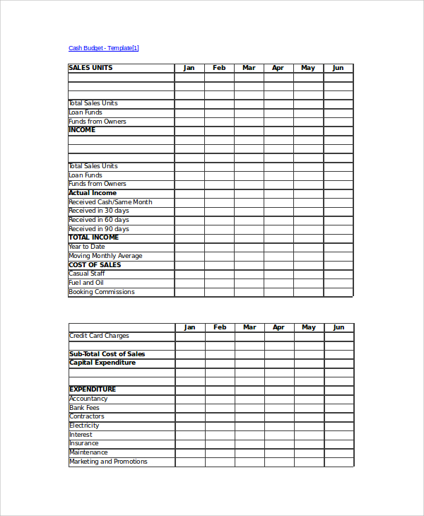 Cash Budget Template Excel 