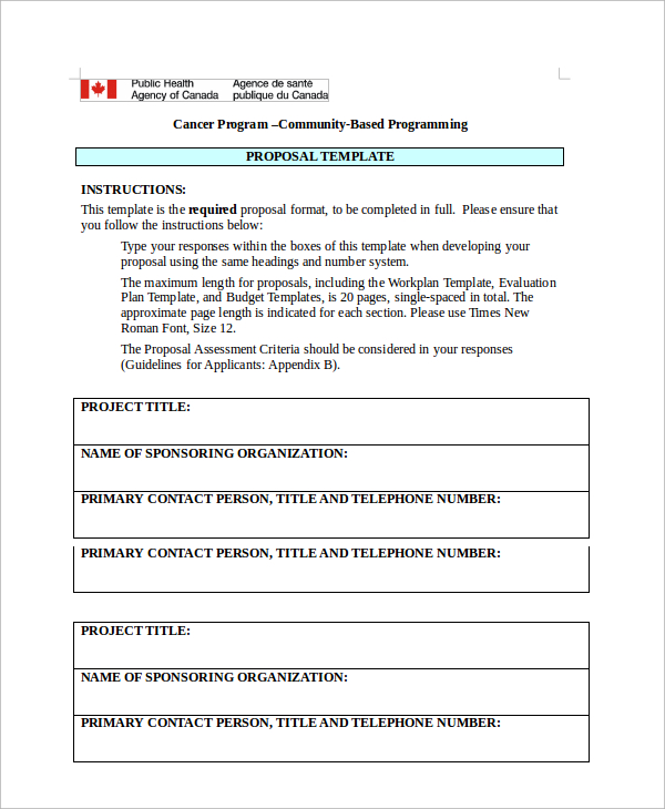 it proposal template document template