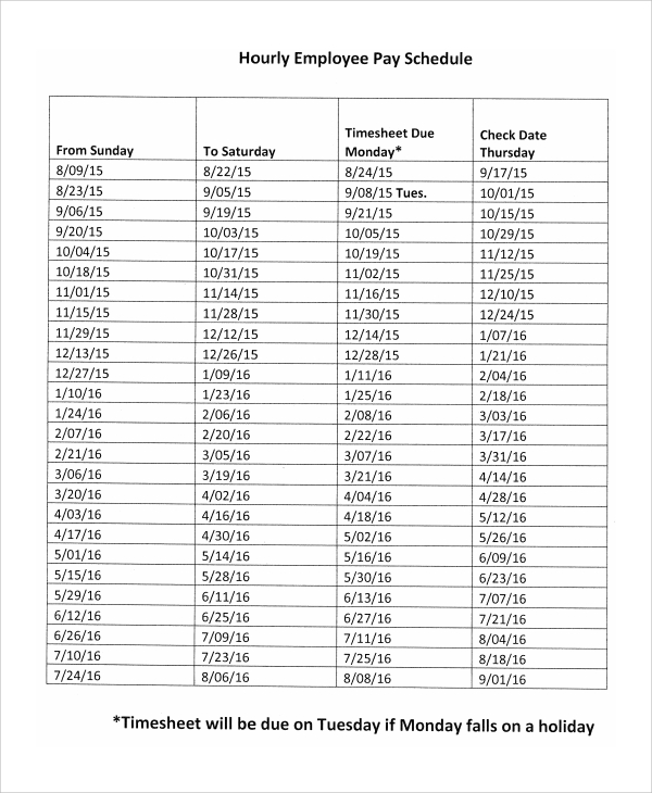 FREE 8+ Sample Hourly Schedule Templates in MS Word | PDF