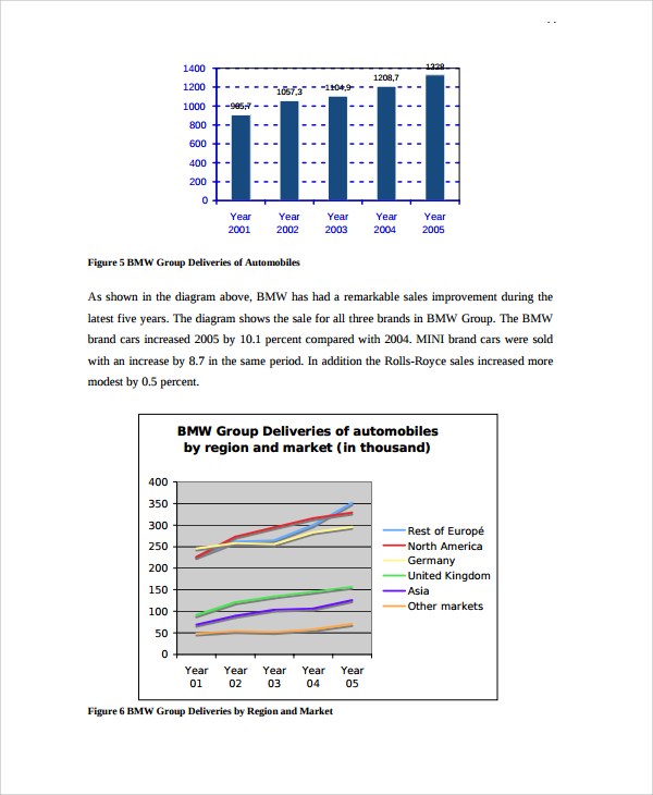 company credit analysis report