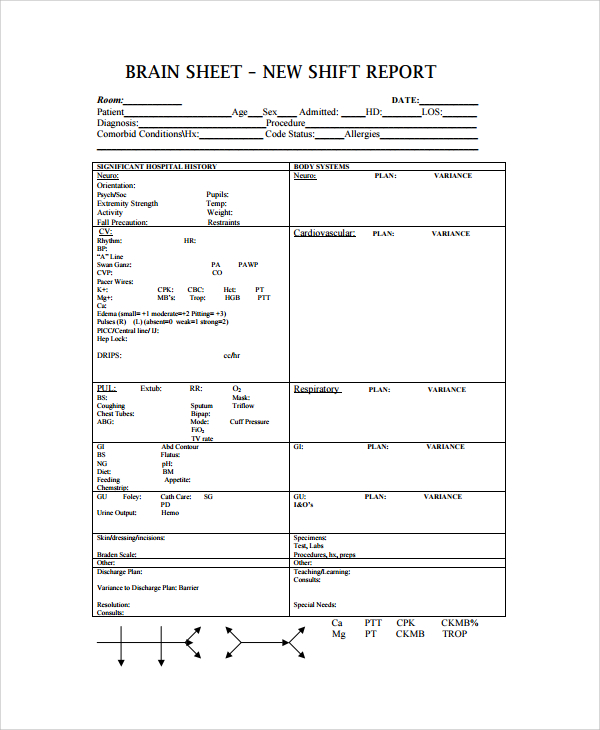 FREE 10+ Shift Report Templates in MS Word | PDF | Pages