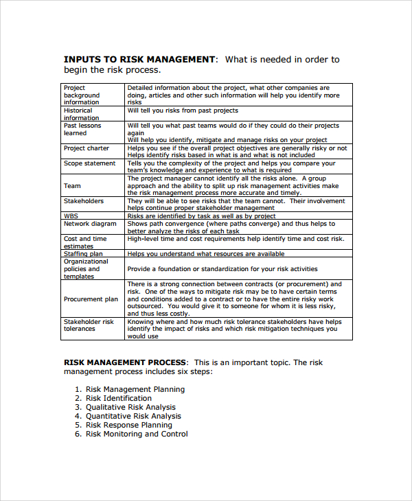sample project risk management template