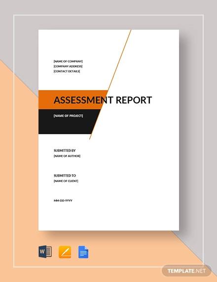 assesment report sample