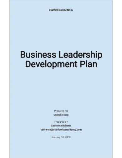 business leadership development plan template