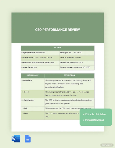 ceo performance review template
