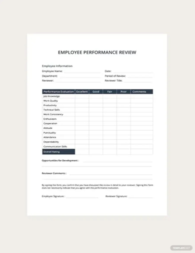 employee performance review