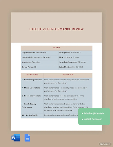 executive performance review template