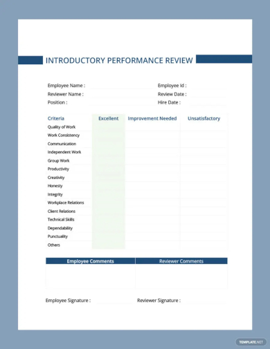 introductory period performance review template
